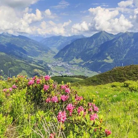 Near Grafenberg Lift